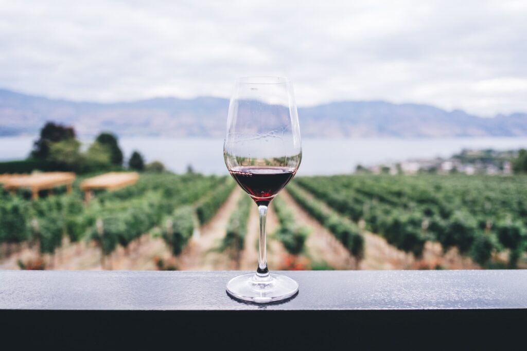 Datos curiosos del vino: tipos de vino