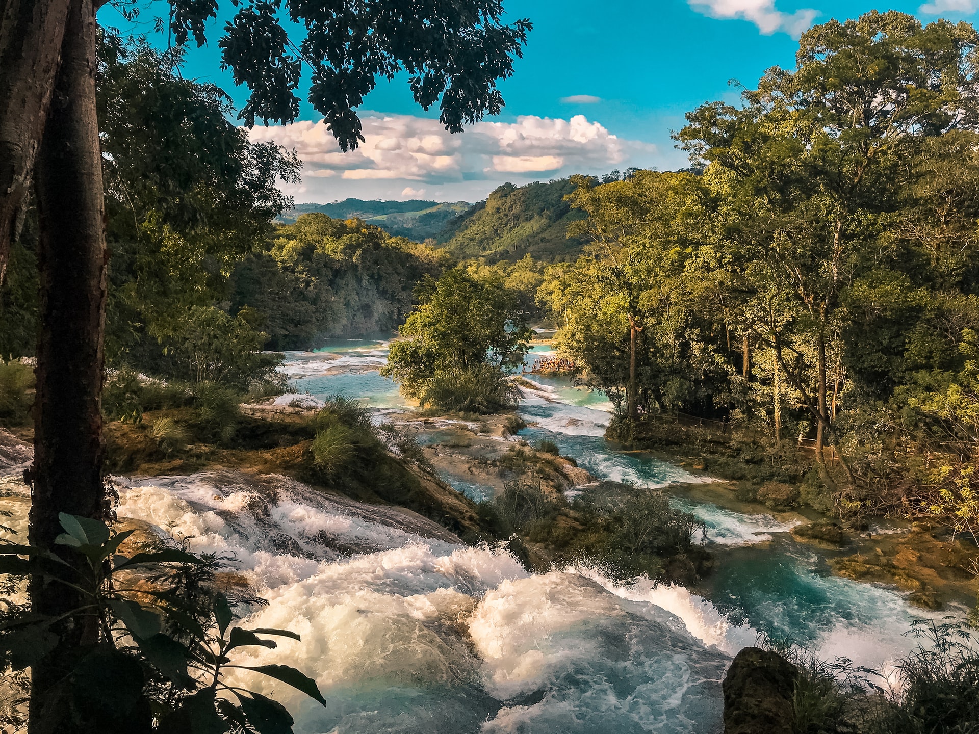 Quiz de destinos de México: Selva Lacandona