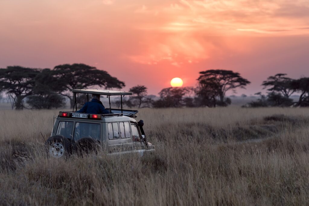 Viajar a Tanzania: Parque Nacional de Serengueti. Safari entre la sabana al atardecer