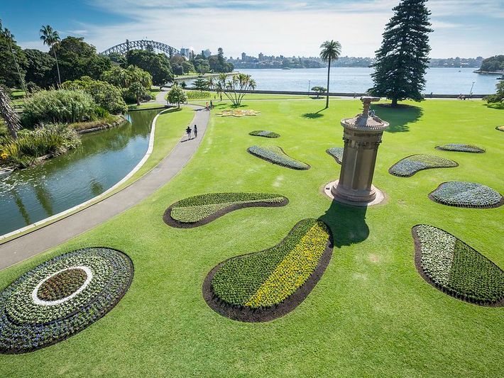 Lugares en Sídney para visitar: Royal Botanic Gardens