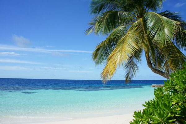 Playas paradisiacas alrededor del mundo