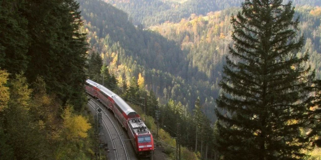 El tren de la selva negra atravesando un bosque de pinos. Es otro de los trenes panorámicos en Europa